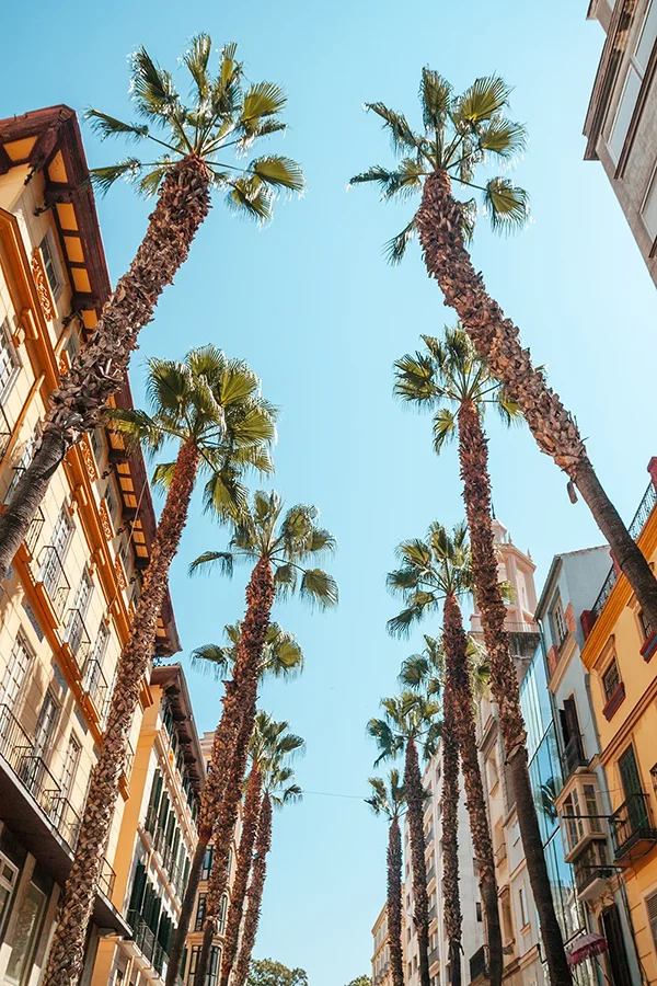 Málaga