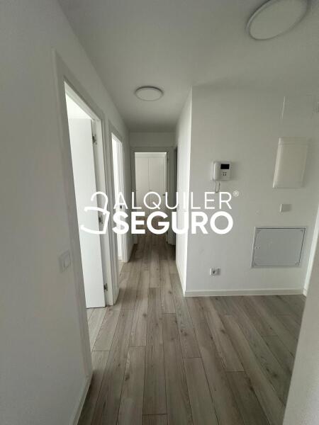 Piso en Avenida Médico Ricardo Ferre, ALICANTE ALICANTE